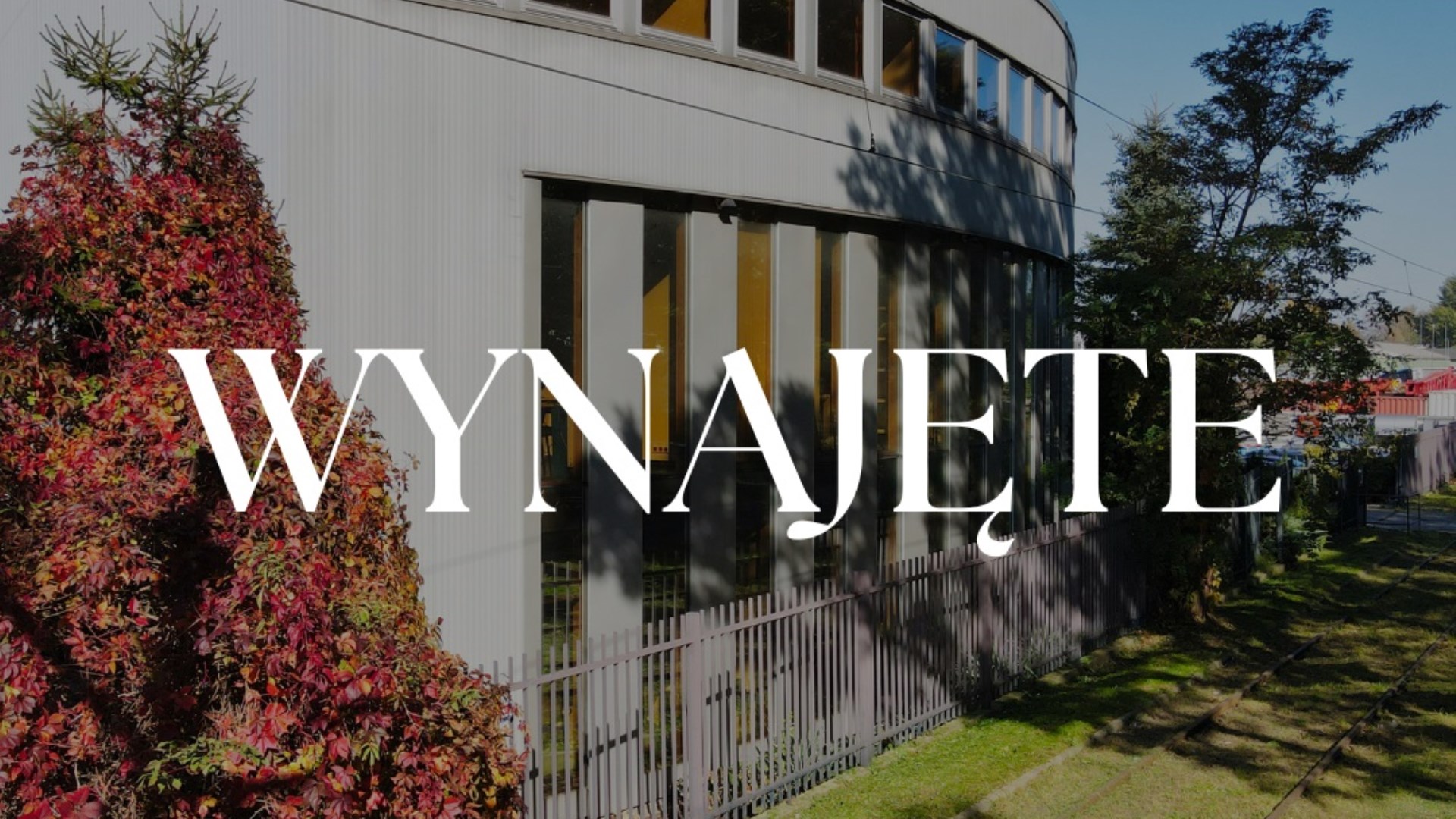 Lokal na wynajem