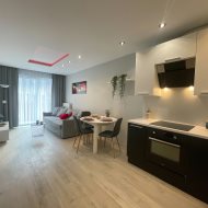 Mieszkanie na wynajem